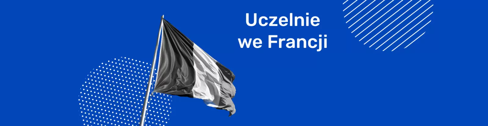 francja najlepszy uniwersytet szampon