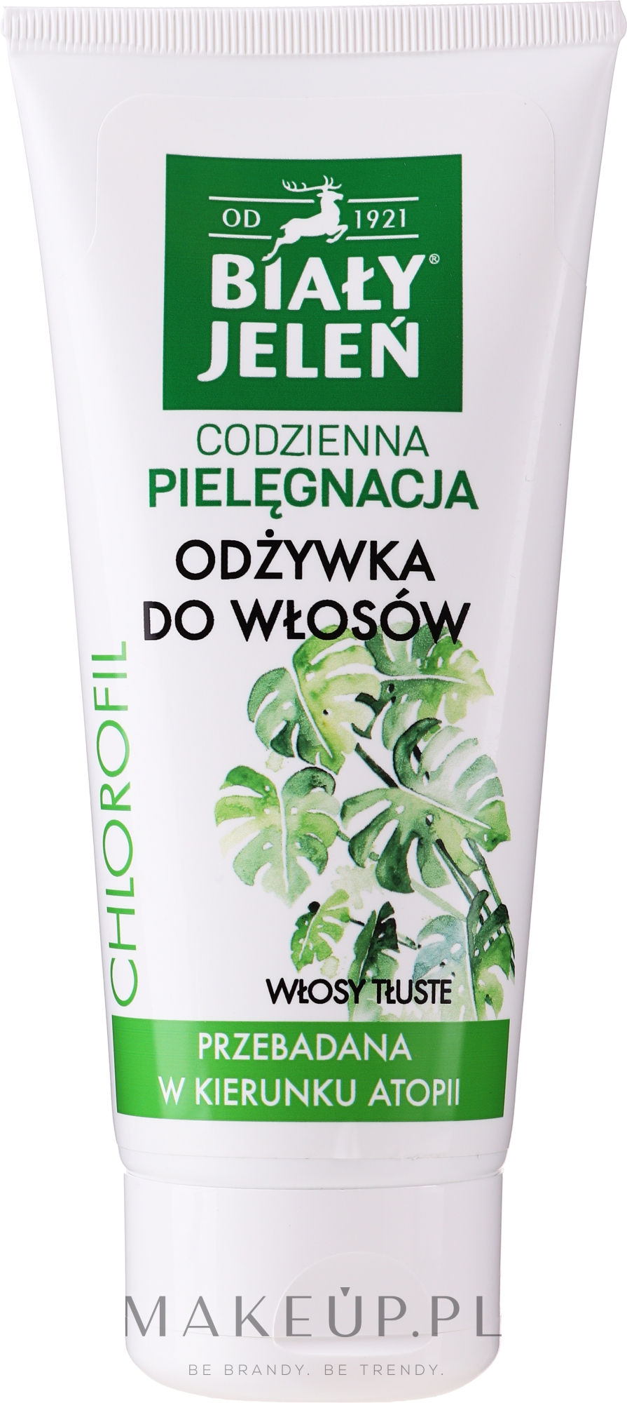 biały jeleń odżywka do włosów przetłuszczających się chlorofil