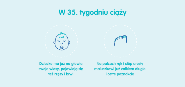 35 tydzień po tygodniu ciąży pampers