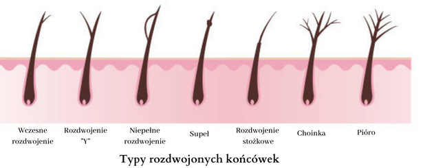 odżywka do włosów na zniszczone końcówki