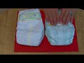 pampers premium protection vs baby dry