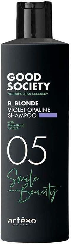 artego good society shiny grey shampoo szampon fioletowy