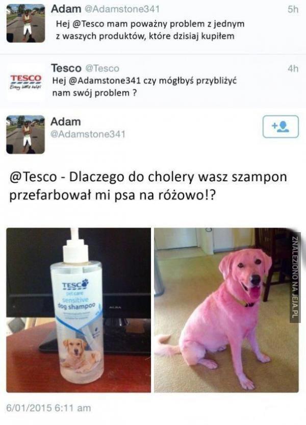 szampon dla psa tesco