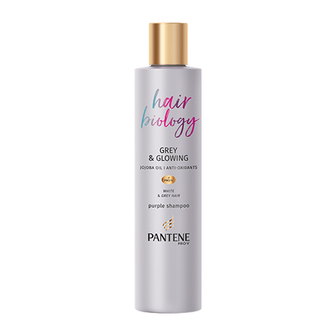 szampon pantene hair hiology