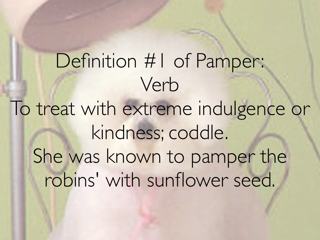 pamper definition