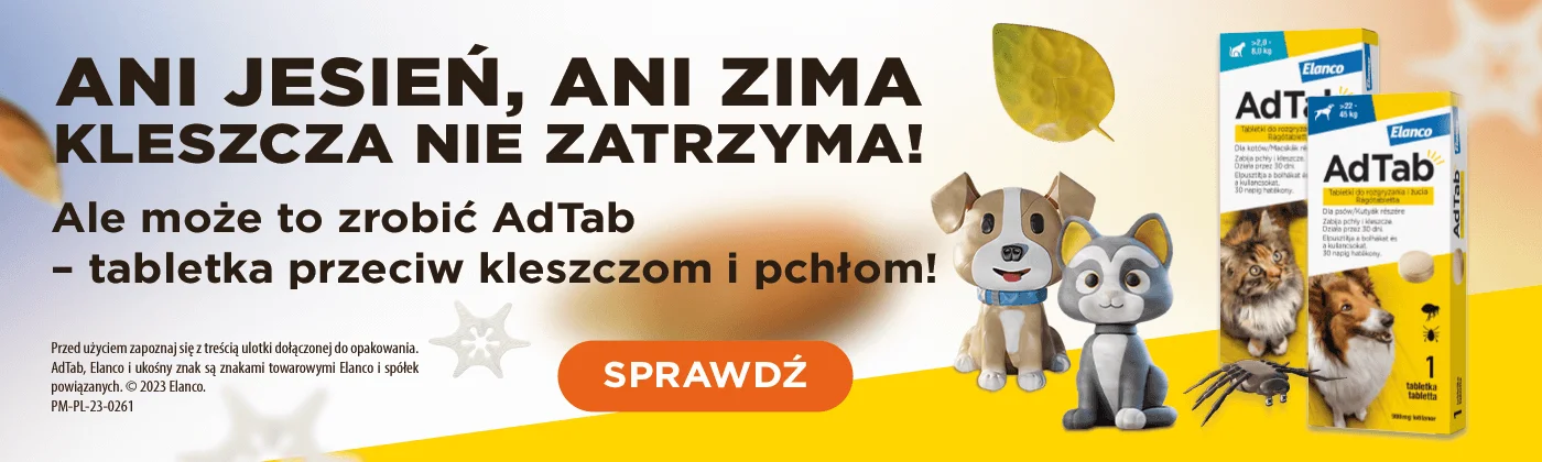 jak często można stosować szampon przeciw pchłom u kota