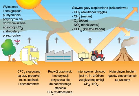 lakier do włosów dziura ozonowa schemat