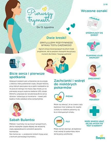 pampers rozwój płodu