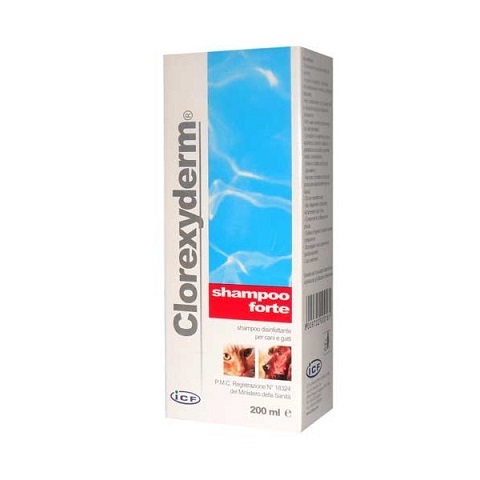 clorexyderm szampon forte cena