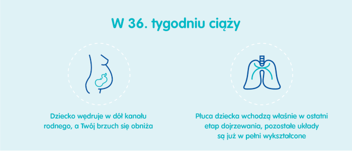 36 tydzień ciąży waga dziecka pampers