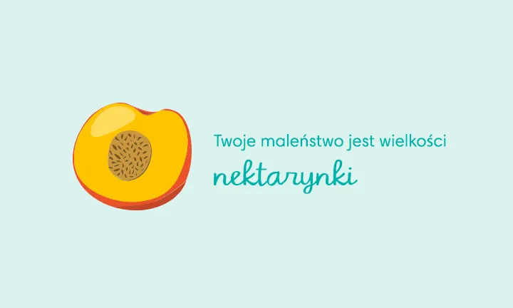 szampon kiwi psh opinie