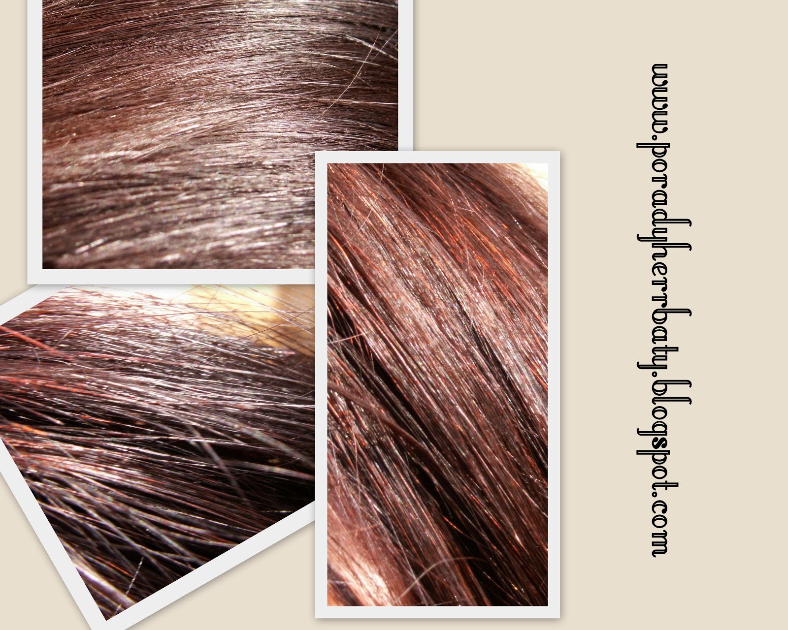 john frieda brunette szampon opinie