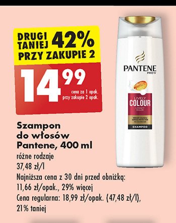 szampon pan ti provi promocyjna cena