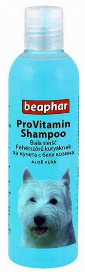 szampon loreal ceny