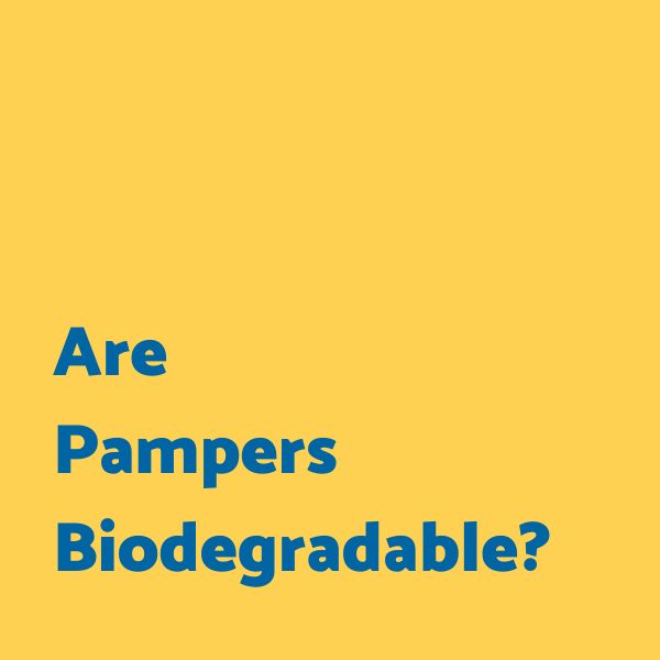 are pampers biodegradable