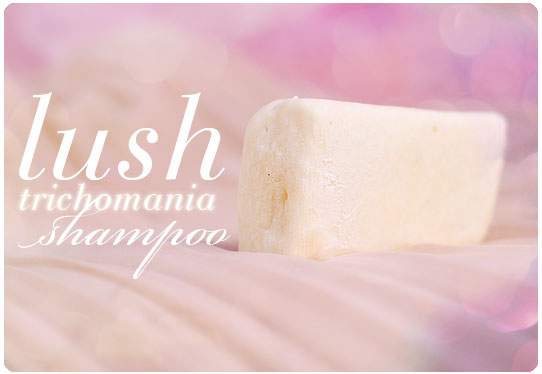 szampon lush na porost włosów