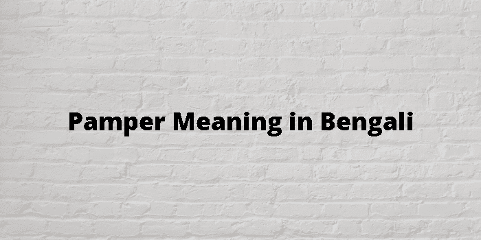 pamper meaning in bengali