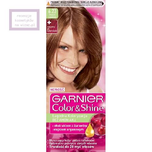 garnier szampon koloryzujący color & shine