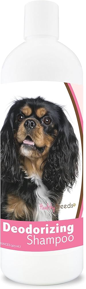 szampon dla cavalier king charles spaniel opinie