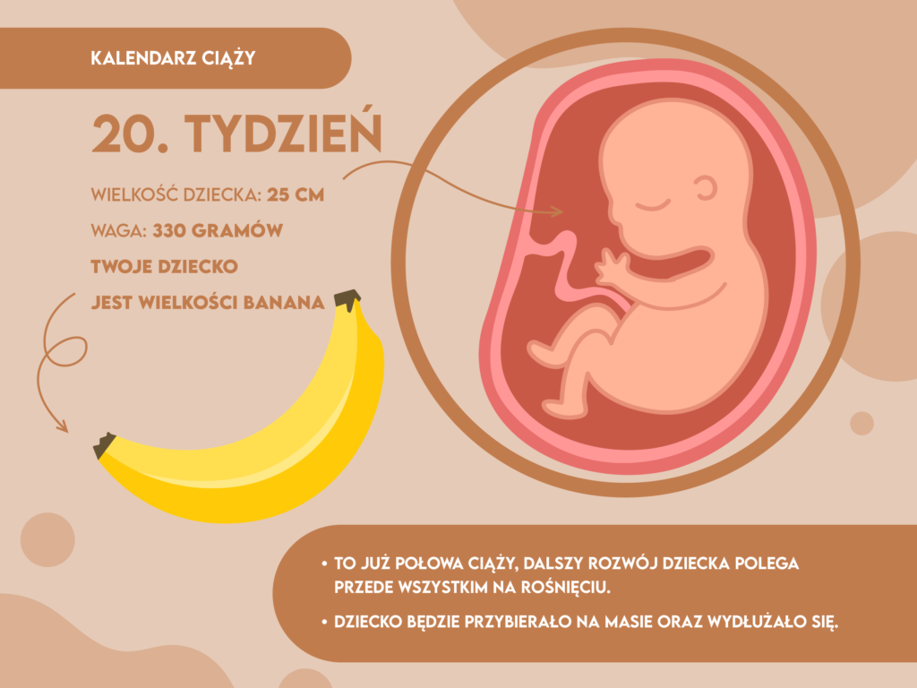 20 tydzień ciązy pampers