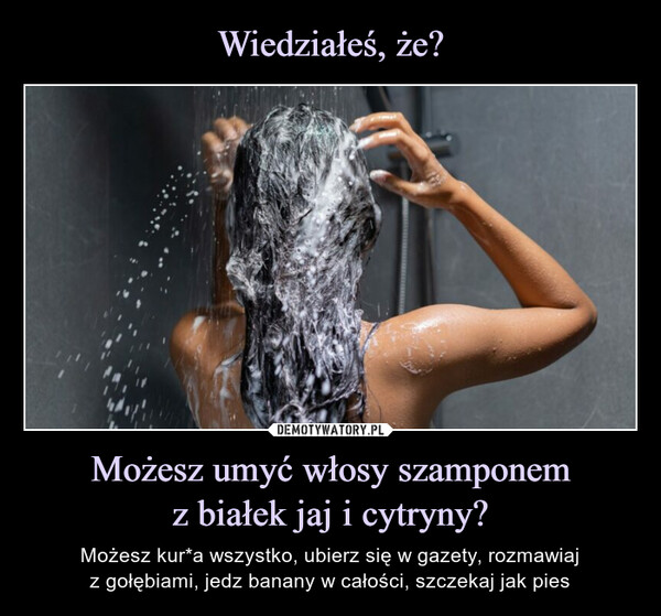 szampon dla mężczyzn do mycie włosów i samochodu demotywatory