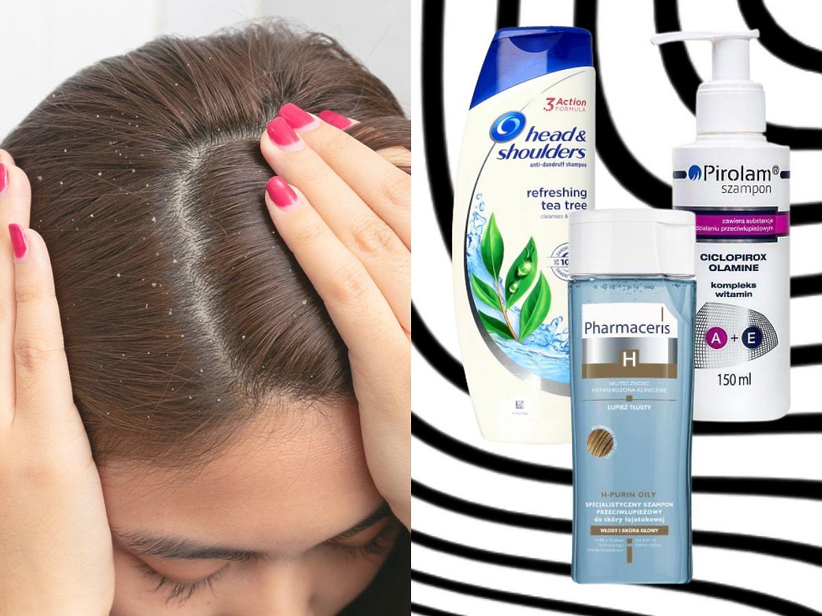 medycyna arabska szampon do pielęgnacji włosów z łupieżem opinie