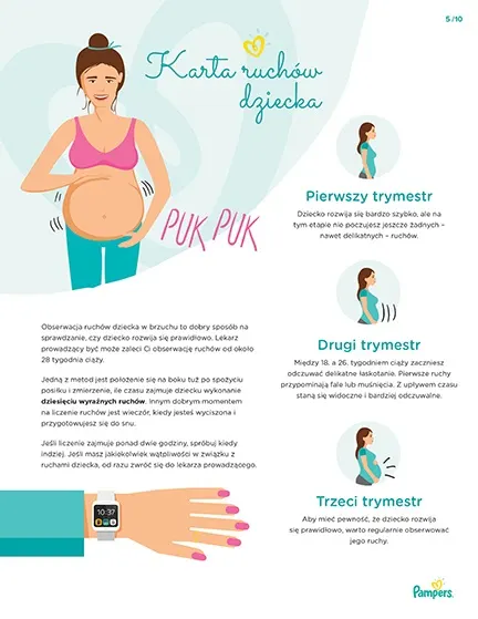 pampers ciąża tydzień po tygodniu do pobrania