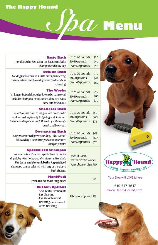 dog pampering services