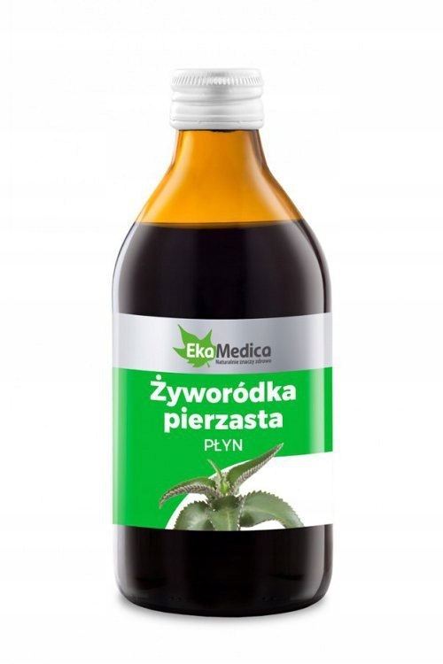 szampon do włosów z żyworódki