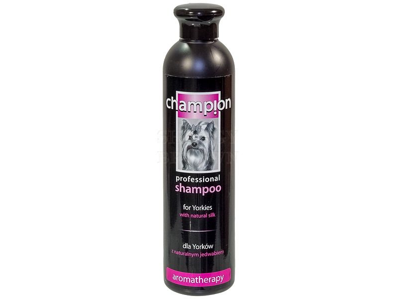 szampon champion dla jamnika