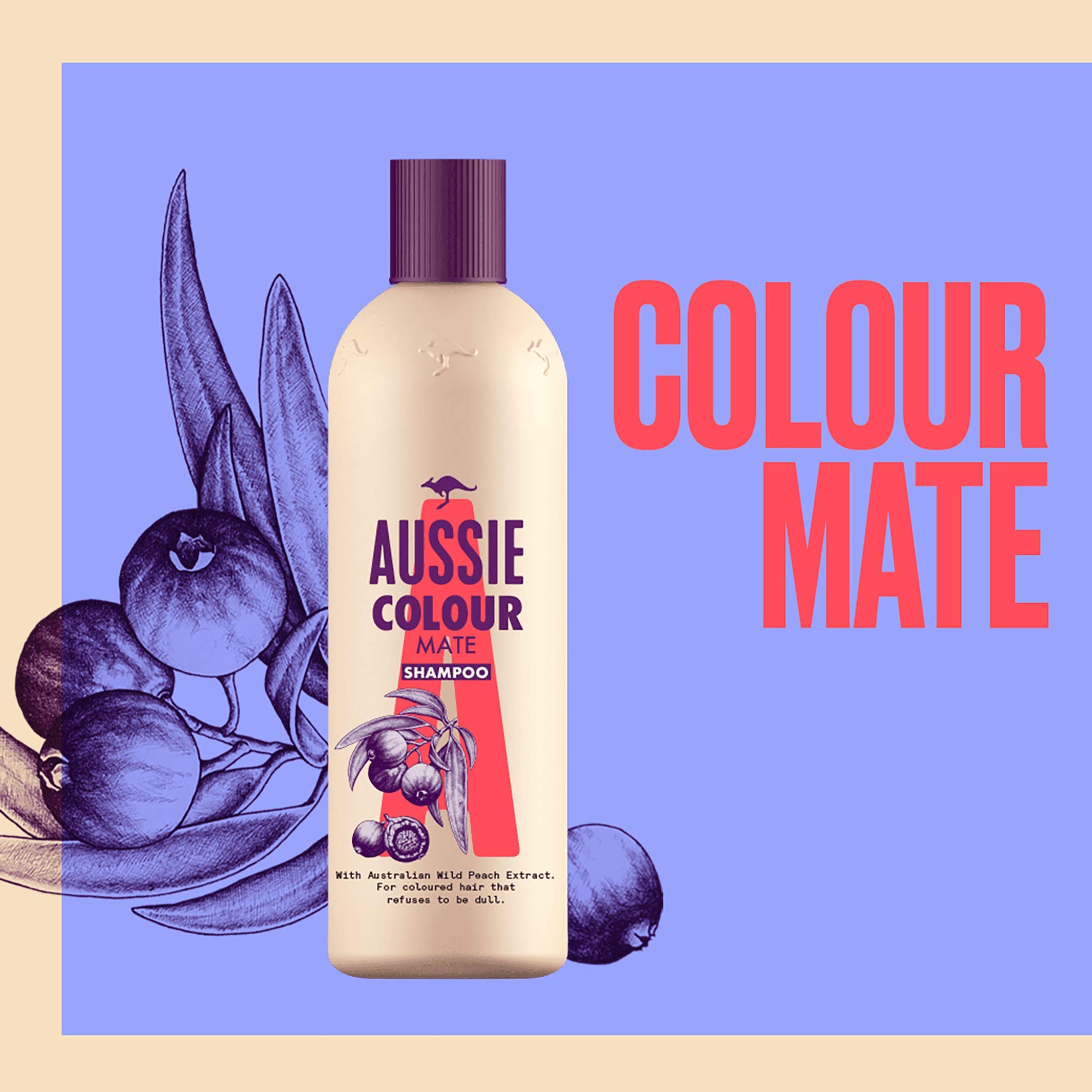 aussie color mate szampon