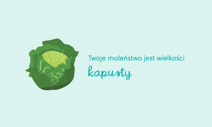 ciąża 30 tydzień pampers