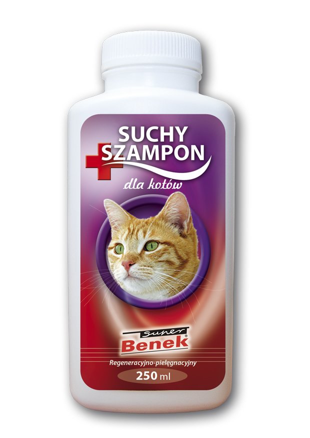 suchy szampon do kota