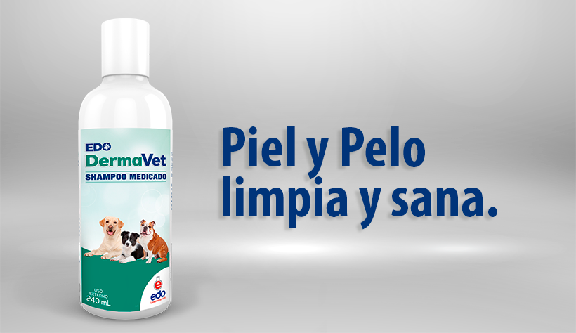 dermavet szampon