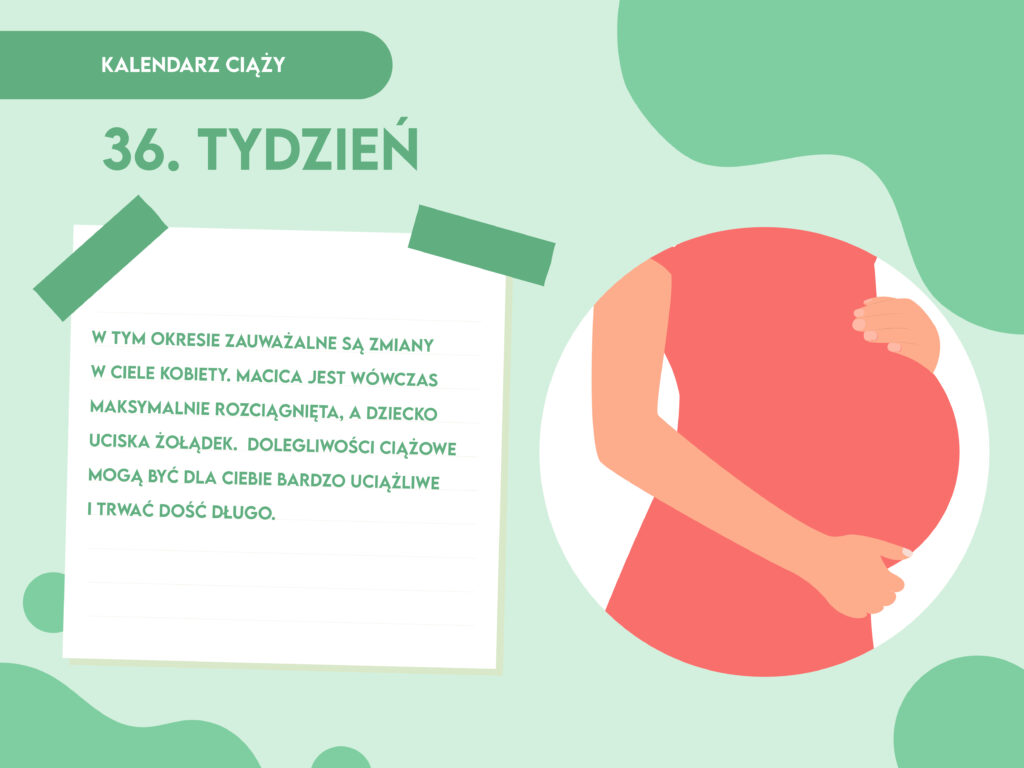 https www.pampers.pl ciaza kalendarz-ciazy seria 36-tydzien-ciazy