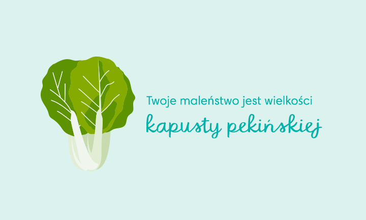 kalendarz ciąży pampers 32