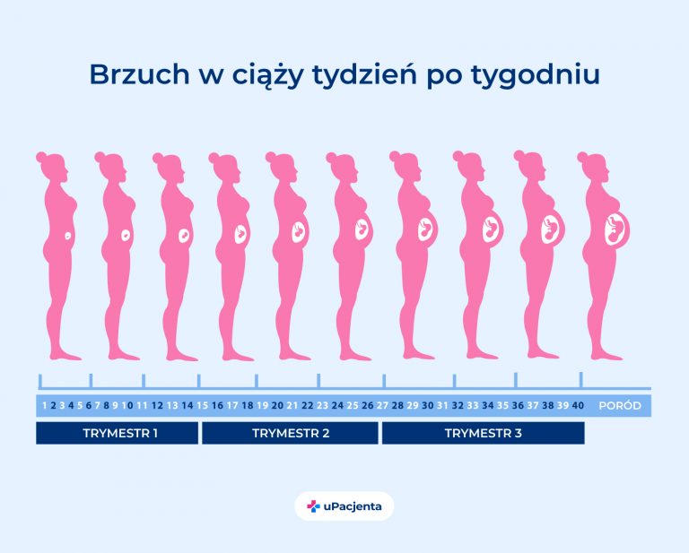 kalendarz ciąży pampers pl