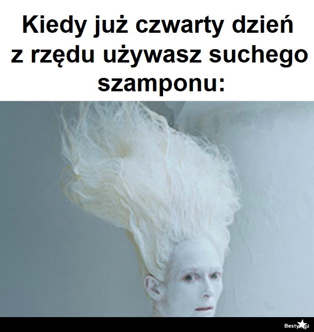 kiedy 4 dsien.uzywasz suchy szampon mem