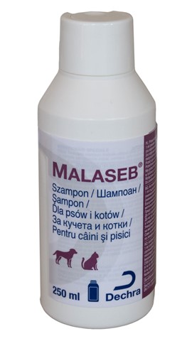 malaseb szampon dla psow