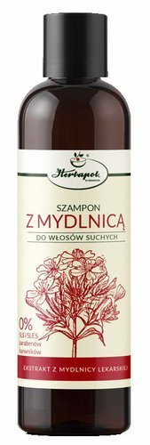 mydlnica lekarska szampon