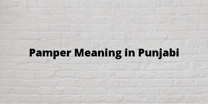 pamper meaning in punjabi