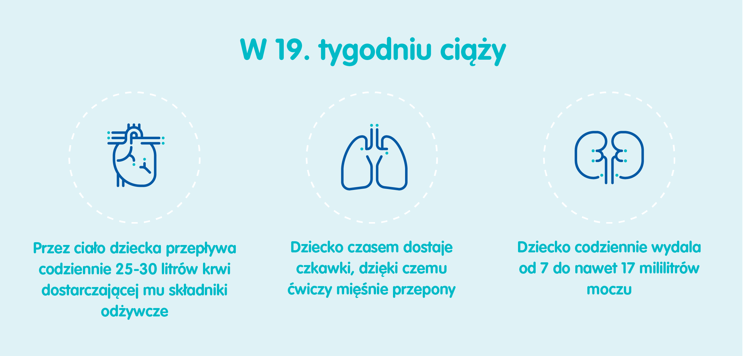 rozwój 19 tygodniowego dziecka pampers