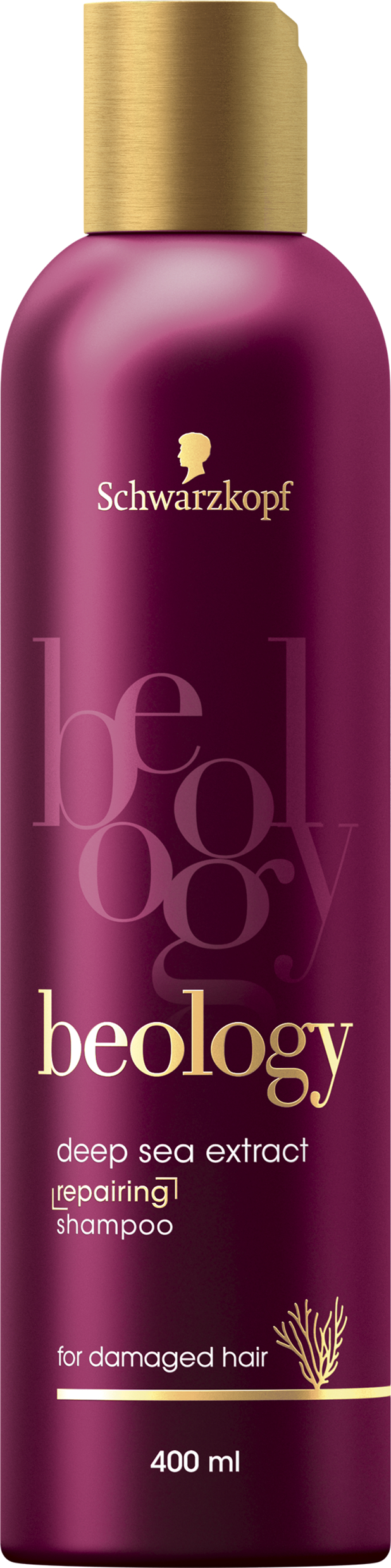 schwarzkopf beology szampon