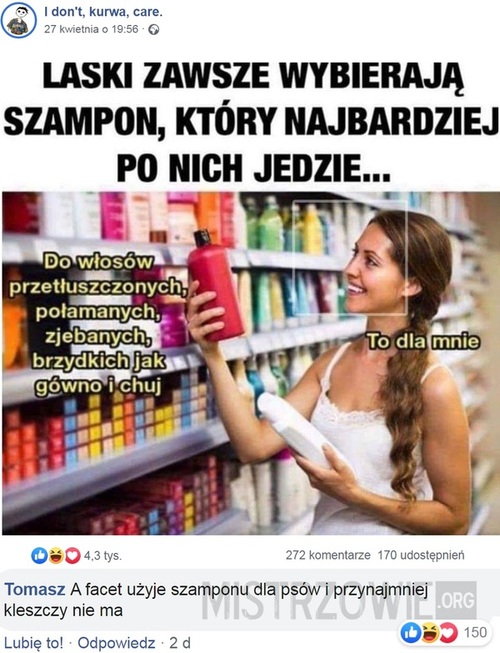 szampon do włosów który po nich jeździ