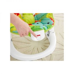 Zestaw huśtawki i siedziska Fisher Price CMR20